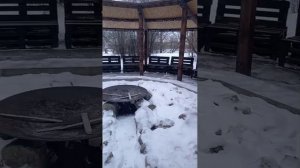 1000085776.mp4Куда то ветерок занесло 🤭