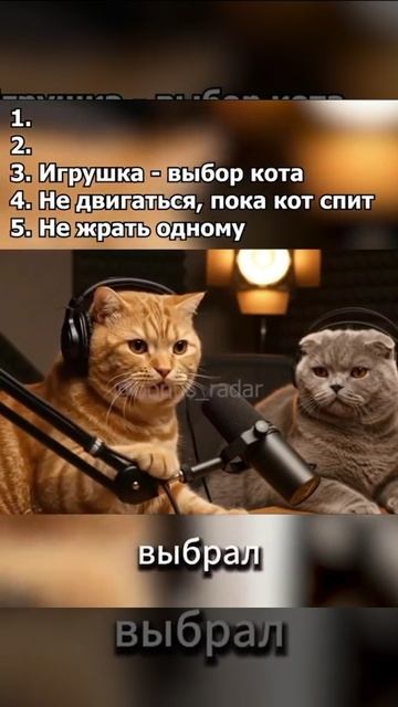 5 правил кота 😂