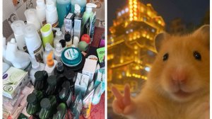 Хомячьи запасы ухода. Инвентаризация на 2026 год. Смотрим!