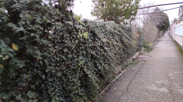 Один из дней города Евпатории | 11 января 2021 г | Крым | ХАН БАТОН XAH 6ATOH / VID_20210111_140253 смотреть онлайн