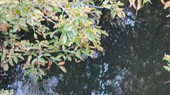 Небольшая речка в Ельце смотреть онлайн