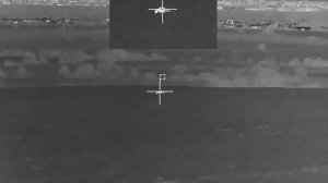 Лиса в объективе Sytong