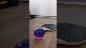 1 СЕРИЯ LEGO СМЕШАРИКОВ: СОРОДИЧ