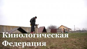 Таланты собак из Луганска продемонстрируют в Москве