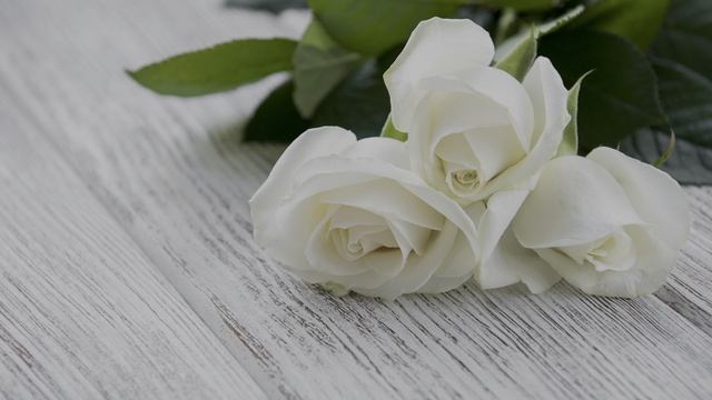 HDR‑аккорды природы смотреть онлайн