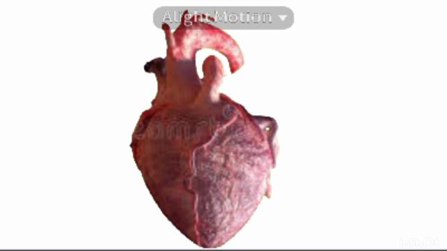 первое видео и да я поменяла аккаунт смотреть онлайн