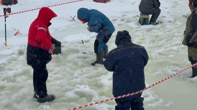 1000137988.mp4 смотреть онлайн