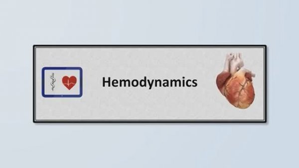 6_Hemodynamics Eric Strong