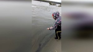 Берегите природу, бывает и это...