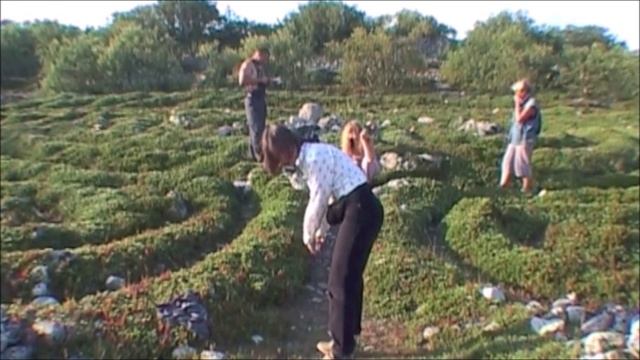 ©  Работа экспедиции на Большом Заяцком острове. Лабиринты.  2003 г.