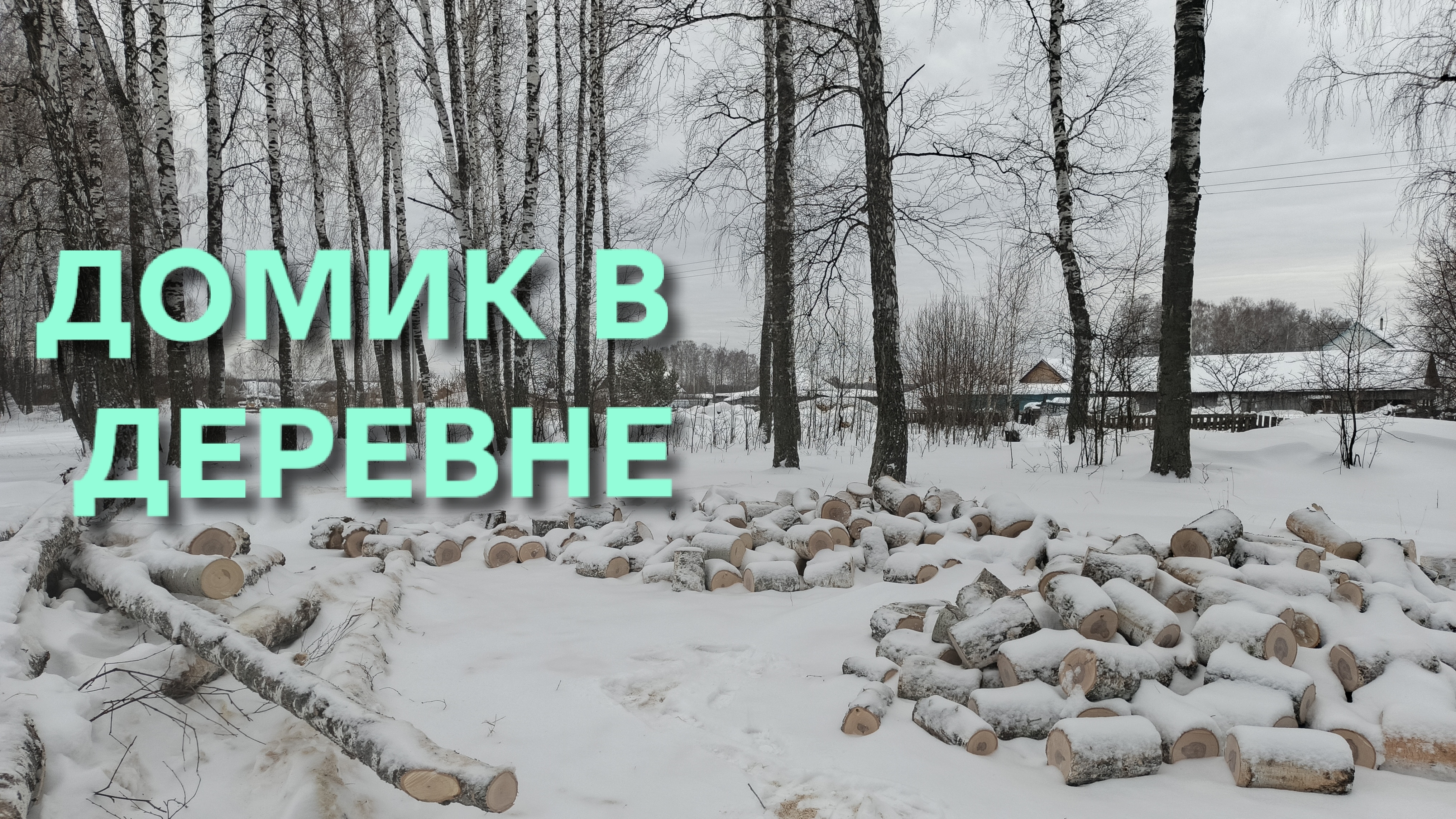 Жизнь в деревне Обзор участка после бурана