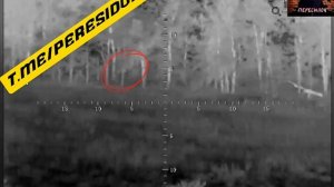 Видео с видом от лица российского снайпера