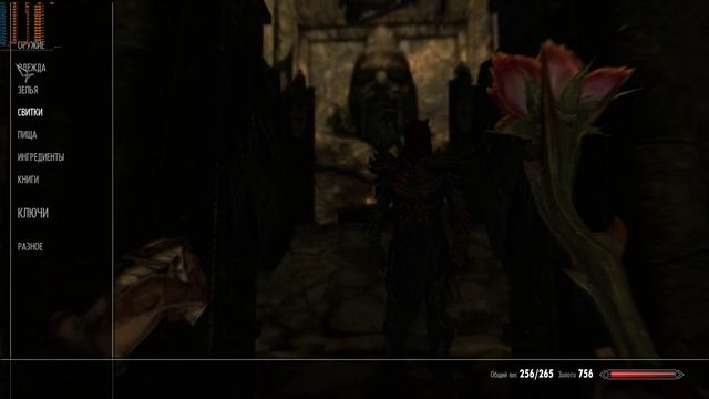 The Elder Scrolls V  Skyrim. Скайрим. Дремора.