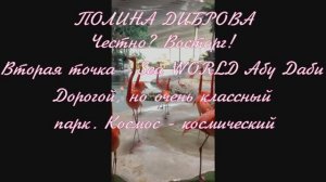 ПОЛИНА ДИБРОВА! Вторая точка - Sea WORLD Абу Даби Дорогой, но очень классный парк. Космос !