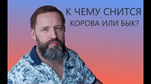 К чему снится КОРОВА_БЫК_ТЕЛЕНОК.