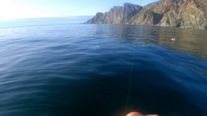 Ловля палтуса в Магадане!