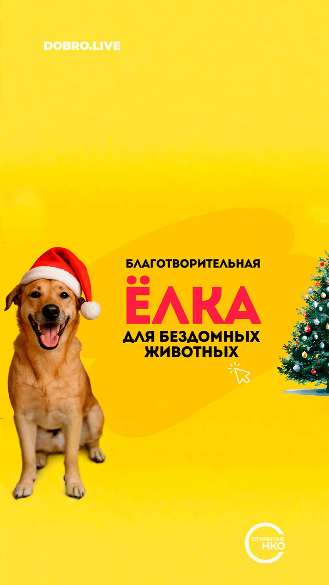 В Москве открылись благотворительные площадки, где можно сделать подарок питомцу из приюта смотреть онлайн