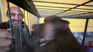 Это УЖАС, Степа никак не может наестся вкусной пюрешкой😘