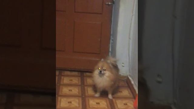 Кайфарик 2 смотреть онлайн