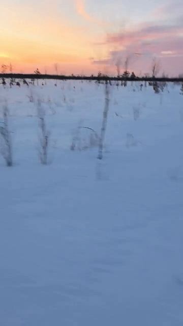 буран закапывается в снег #бураны #снегоход