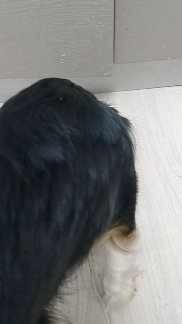 хоть мама и дочь Но вкусы разные