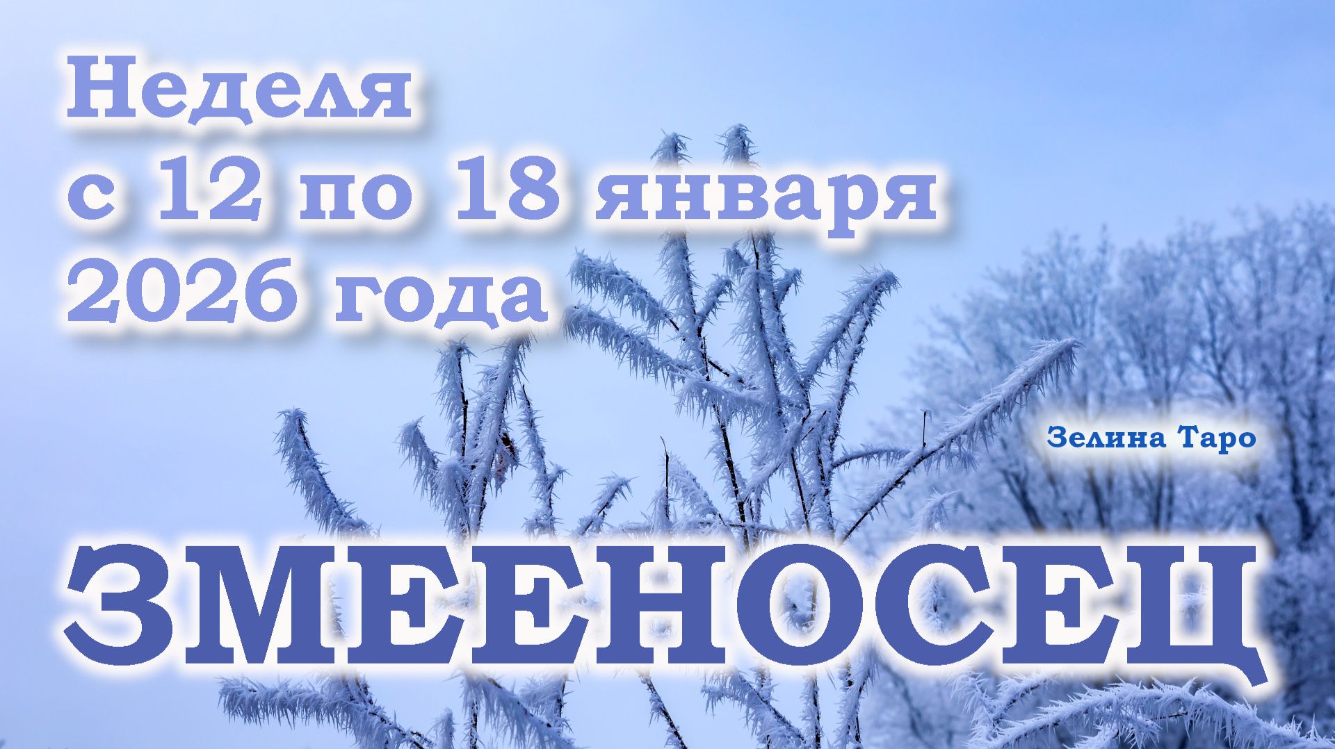 ЗМЕЕНОСЕЦ | ТАРО прогноз на неделю с 12 по 18 января 2026 года