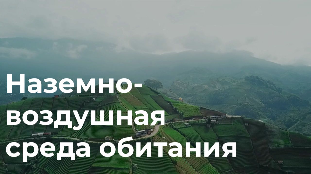 Наземно-воздушная среда обитания. 5 класс. смотреть онлайн