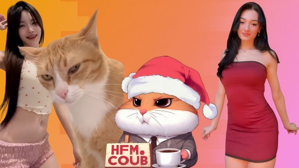 HFM COUB BEST CUBE Coub Приколы 2026 entertainment show, video collection from all over the world