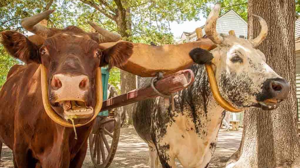 05 12 2021 Павел Райн - Время войти в Божий покой 2 часть смотреть онлайн