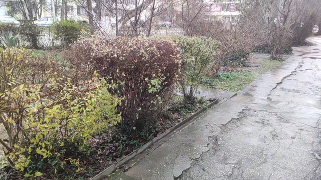 Один из дней города Евпатории | 8 января 2021 год | Крым | ХАН БАТОН XAH 6ATOH / VID_20210108_133955