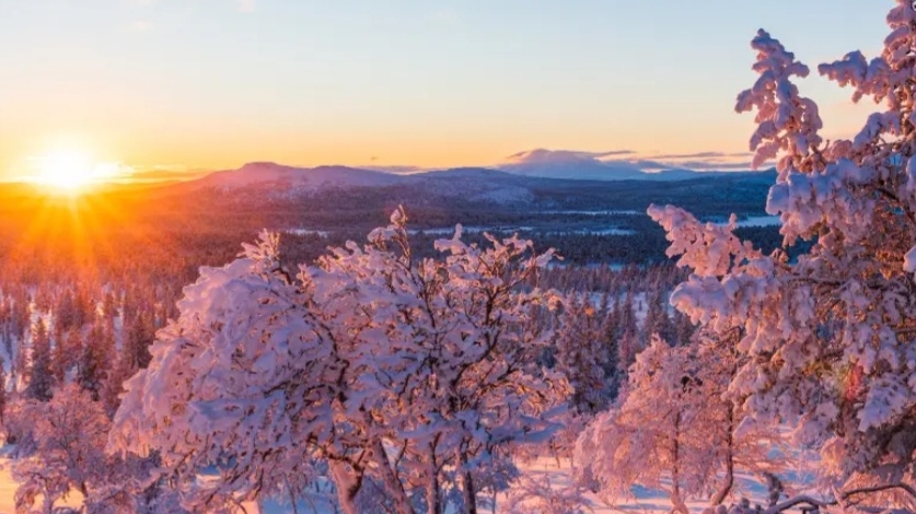 СП Добиваю недовязы 5/2026 Отчёт 2 с Мариной Стоговой смотреть онлайн
