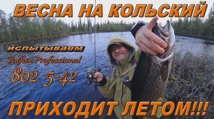 Весна на Кольский приходит летом!!!