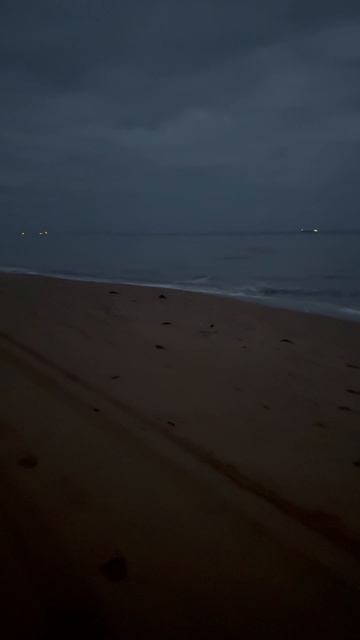 Жизнь на берегу моря смотреть онлайн