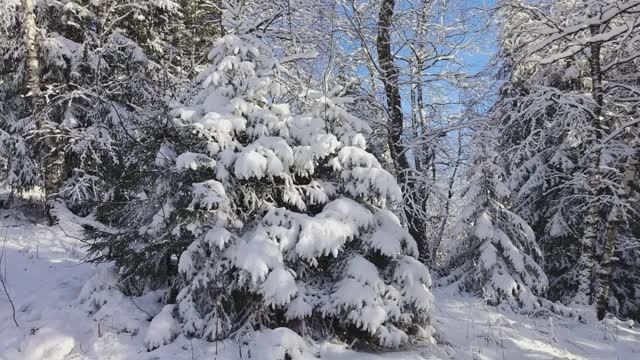 Ренат ХАРИС ЧТОБ ВЫ ИХ НАШЛИ Читает Анатолий Алымоа смотреть онлайн