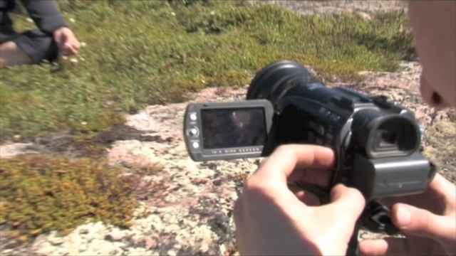 © Снимаем фильм о памятниках Гипербореи на Кузовах.  Святилище Предков июнь ч.1.  2013 г