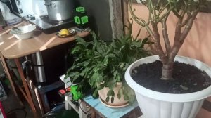 7-9 января 2026г.Устроила себе каникулы)