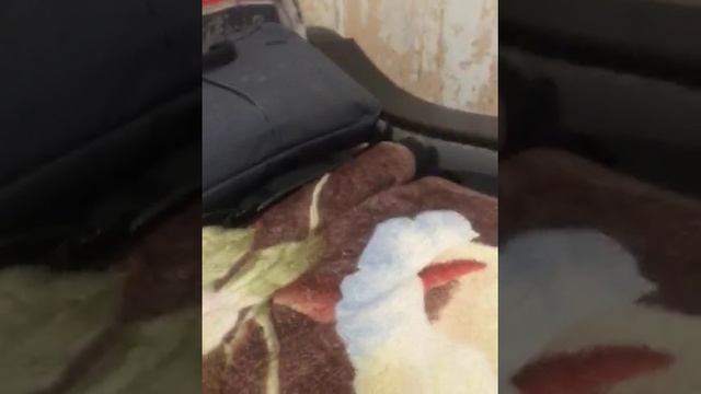 анимация смотреть онлайн