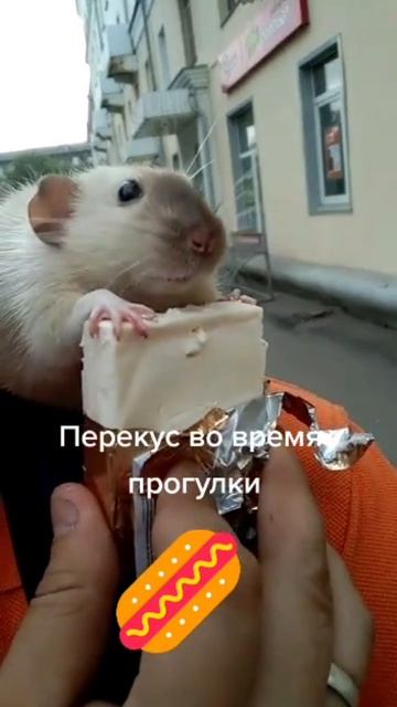 На прогулке смотреть онлайн