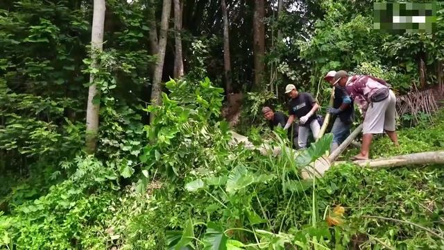 Лесовозы на мотоциклах. Сплав бамбука по реке. Индонезия смотреть онлайн