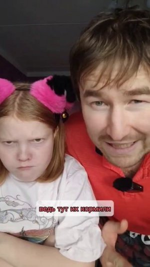 Не нужно прикармливать бездомных собак ❌