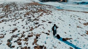 Сойти с ума — REFLEX | ELLA cover