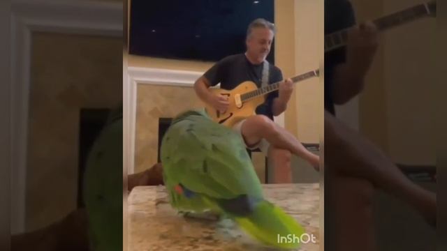 День игры в снежки !❄☃️⛄🤗 смотреть онлайн