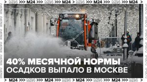 40% месячной нормы осадков выпало в Московском регионе за последние 12 часов - Москва 24
