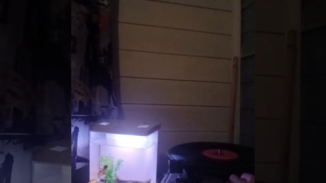 Электро фон