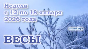 ВЕСЫ | ТАРО прогноз на неделю с 12 по 18 января 2026 года
