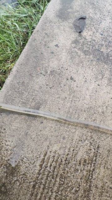 Дождь после снега.