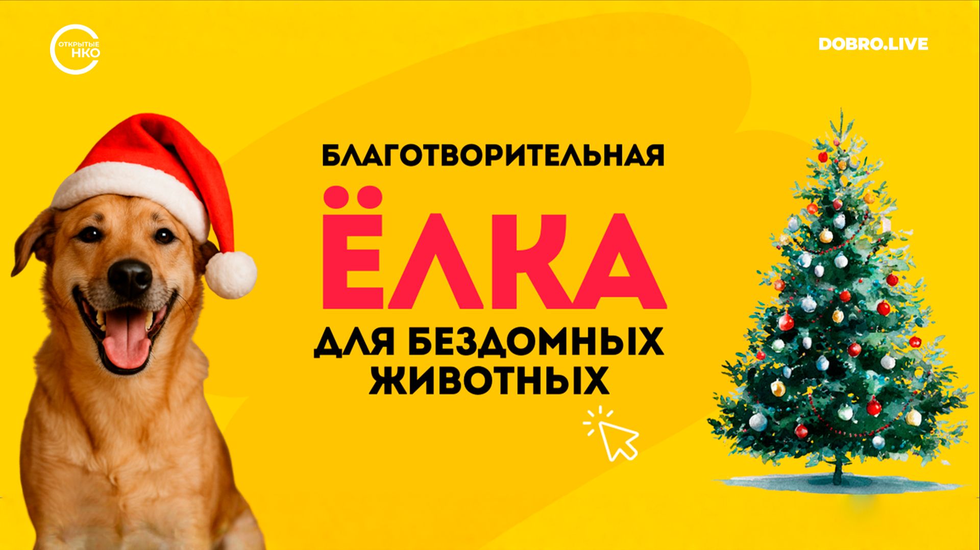 В Москве открылись благотворительные площадки, где можно сделать подарок питомцу из приюта смотреть онлайн