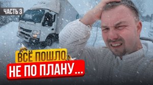 Cбежал с Офиса на Пасеку! Что из этого вышло? Строю Пасеку с Нуля | Серия 3