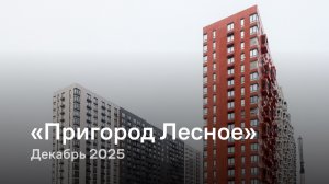 «Пригород Лесное» / Декабрь 2025