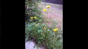 Библия и жизнь. Моя аудиокнига. Часть № 119